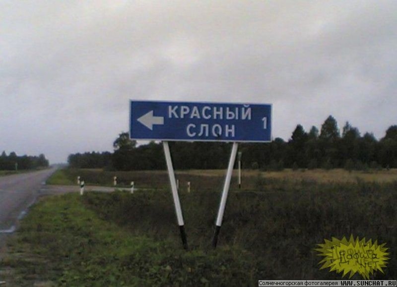 Красный слон