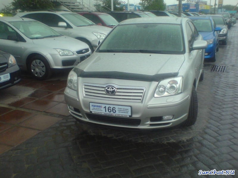 Avensis