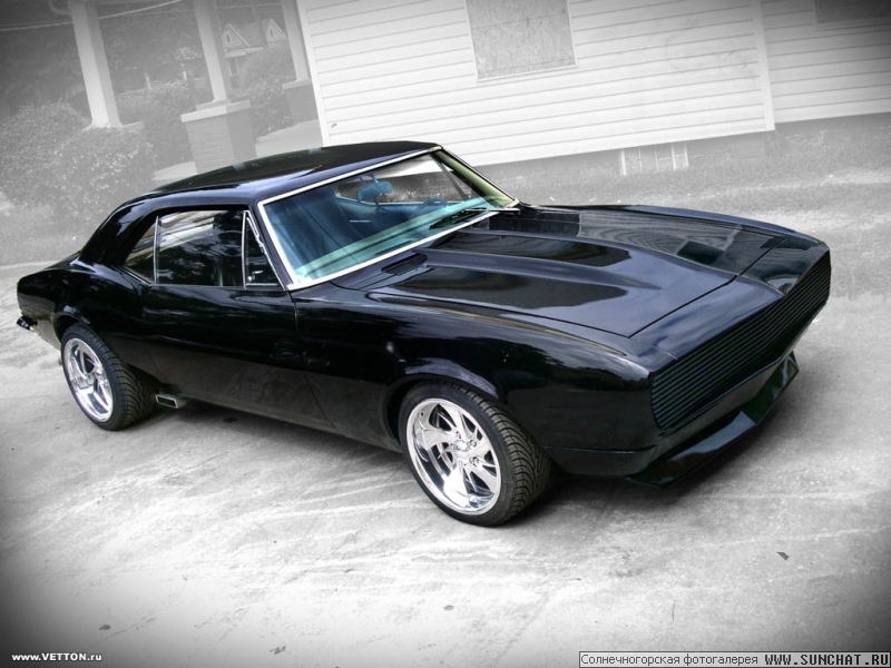 Black pantera