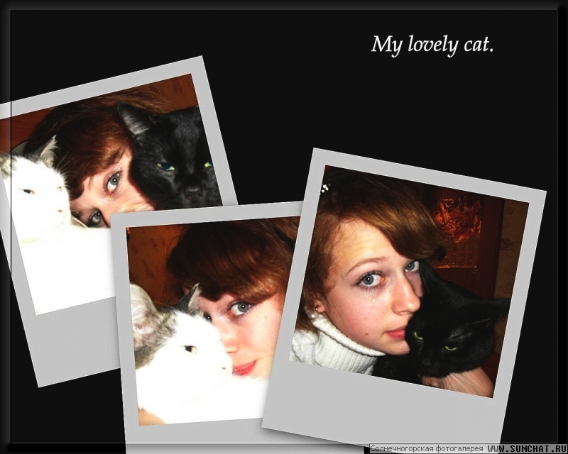 Me and my Cats))