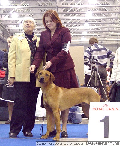 Best Junior Eurasia 1(2007)