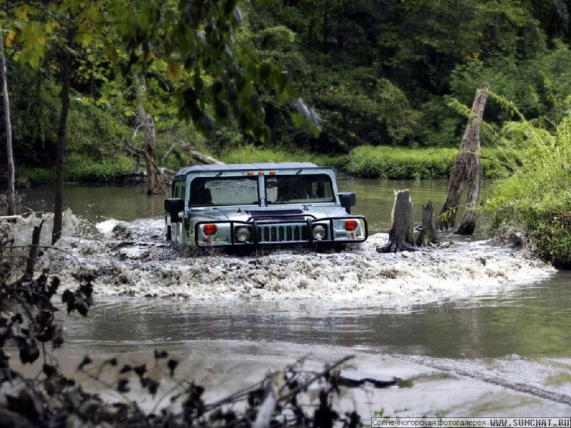 Hummer