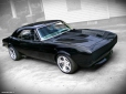 Black pantera