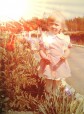 sunny childhood