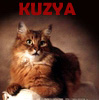 Пользователь Kuzya